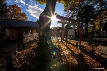 画像出典：稲積神社