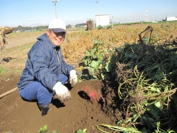 大きな芋が現れて、思わずニッコリ！