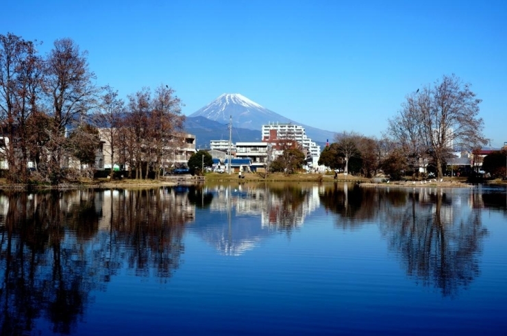 雲ひとつない晴天の朝、あまりにきれいなので一枚撮ってみました。