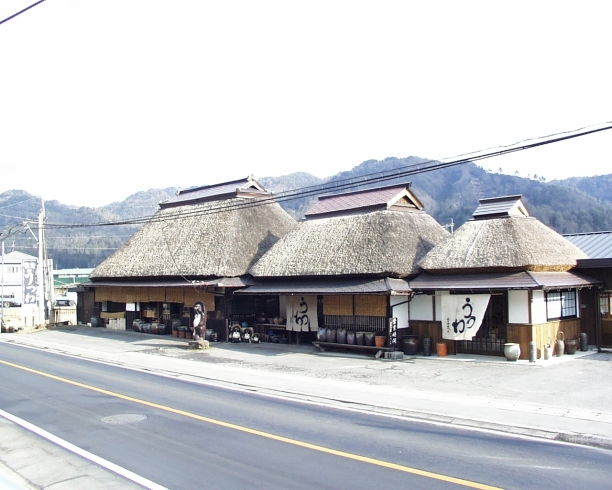 「食器の専門店 窯元うつわ」あなたにあった食器のプロデュース。