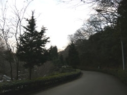 どんより曇った冬のある日、閉園15分前の生田緑地<br>