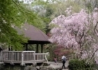 県立東高根森林公園