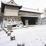 数十年ぶりの大雪