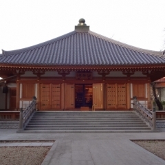 枝垂れ桜　建築物や眺望も見どころ　「真間山弘法寺」