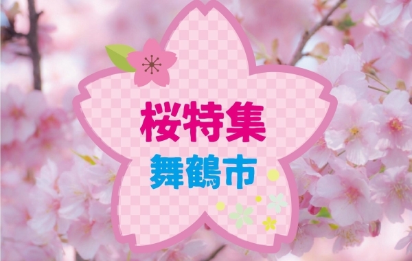 舞鶴　桜・お花見スポット　開花状況