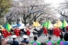 神奈川県警音楽隊・カラーガード隊によるドリル演奏