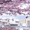 松ヶ崎城跡