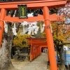 【ご当地ライターまっすん取材記】 秋色に染まる「粟津天満神社」——加古川のまちに息づく、学問の杜と人々の祈り