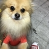 ぼくにもちょうだい!!