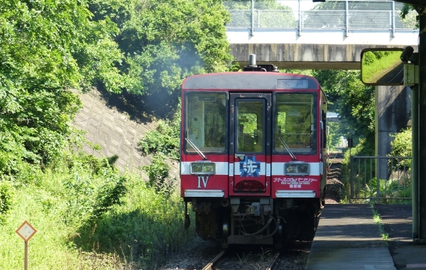 のどかな北浦湖畔・新緑のトンネルを走る電車絶景スポット