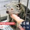【新店舗さん、いらっしゃい! #20】ふれあいミニ動物園Cafe&bar SlowlyTail