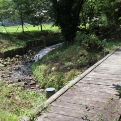 【滝沢】大沢せせらぎ公園