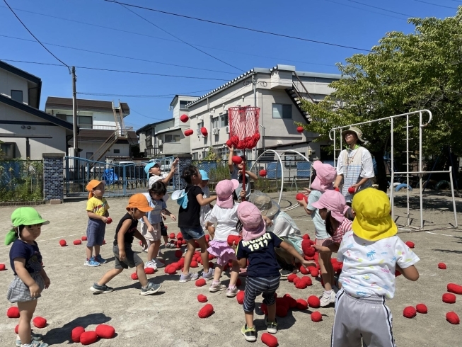 狙って狙って、たくさんいれるぞ！「塩川幼稚園　運動会の練習真っ只中！！みんなで力を合わせて頑張っています！」