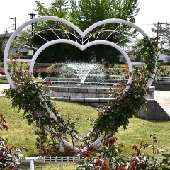伊奈町町制施行記念公園のバラ園に植栽アート登場