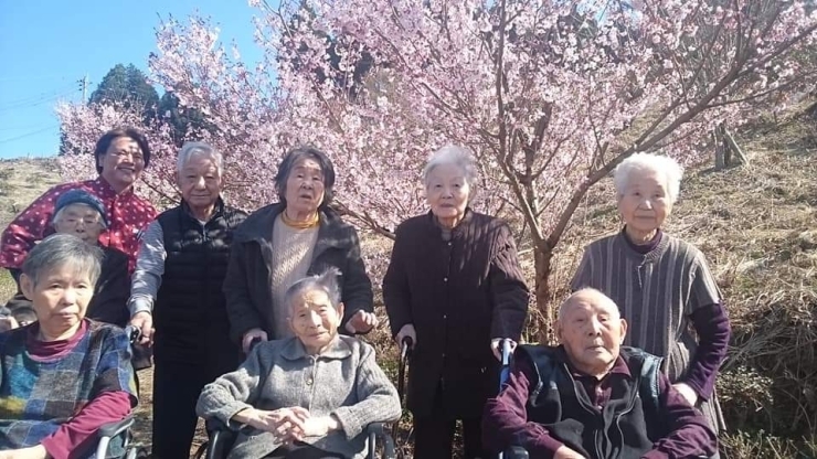 「デイサービス金太郎桜見学野外歩行訓練(^○^)‼️。」