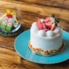 西区八軒【HACHI CAFE(ハチカフェ)】さんの手のひらサイズのホールケーキ