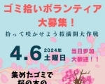 拾って咲かせよう桜満開大作戦～ゴミ拾いで街も心もキレイにしよう～