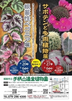 サボテンと多肉植物展