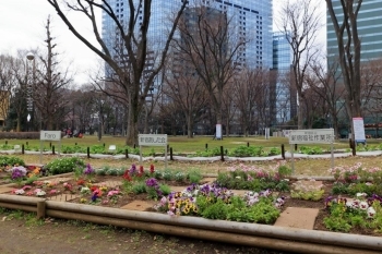 芝生広場 花壇