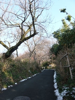 浄慶寺入り口までの坂道