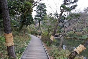 池に沿って回廊のように通路が延びる