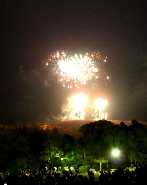2/14のなら瑠璃絵最終日ラストを飾った「奈良公園バースデー花火」。奈良公園さん、136回目の誕生日おめでとうございます！　これからもみんなの憩いの場所として、よろしくお願いします。