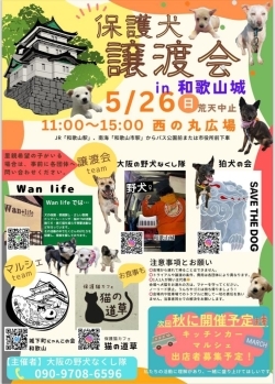 和歌山城公園西の丸広場で保護犬譲渡会を開催！
