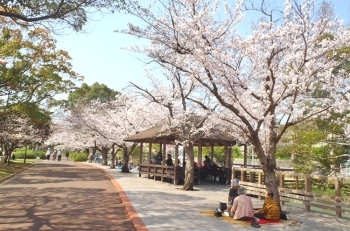 (2)芝生広場北付近