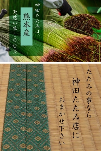 熊本県で育成された天然良質い草。「神田たたみ店」