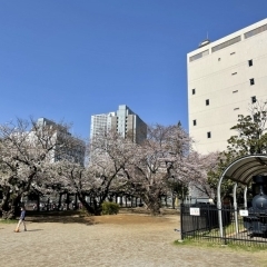 津田沼一丁目公園|習志野市