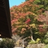 【紅葉スポット】 諏訪市 温泉寺