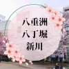八重洲・八丁堀・新川エリアのお花見マップ