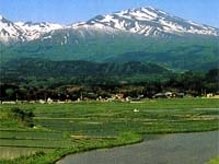 鳥海山
鳥海山はおおまかに分けて、山麓のブナ林帯、中腹に広がる草原帯、山頂付近の火山石礫帯で構成されている。