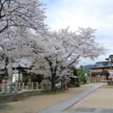 宝土寺