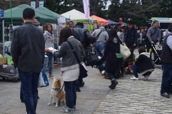 エコわんマルシェには愛犬を連れた方がたくさん