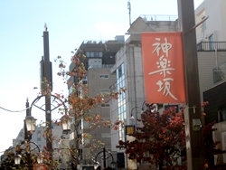 「飯沼会計事務所」神楽坂の会計事務所です。