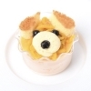 ドックプリンダックス