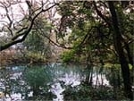 丸池様
エメラルドグリーンのこの池は夜になると一層幻想的。目の神様として地元住民から崇められている。
