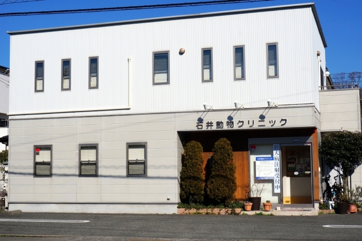 「石井動物クリニック」大切な家族のひとり“ペット”と楽しい時間をすごせるお手伝い！