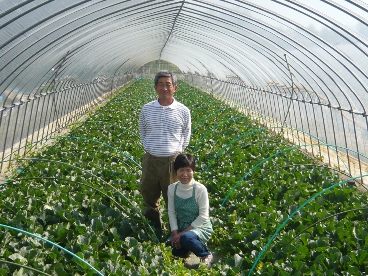 亀田農園　　亀田淳さん、恵子さんご夫妻！　