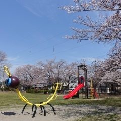 新宿第一公園｜鴻巣市