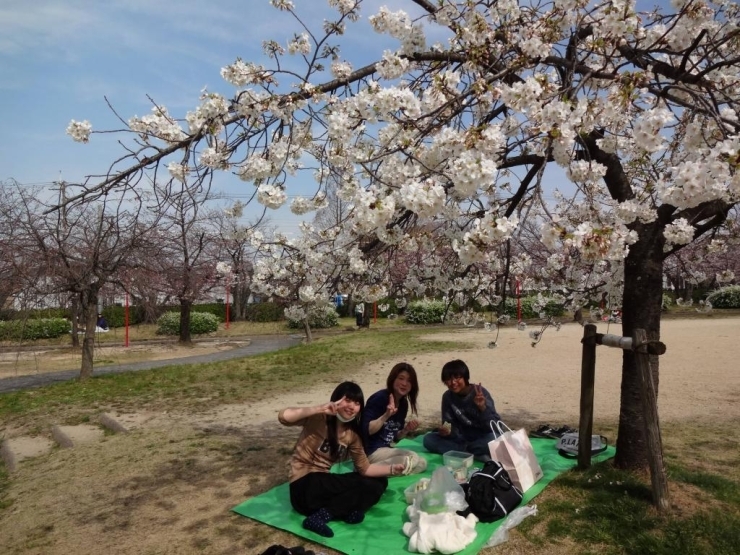 毎年、この公園に桜を見に来るのが楽しみという、宮崎さん一家