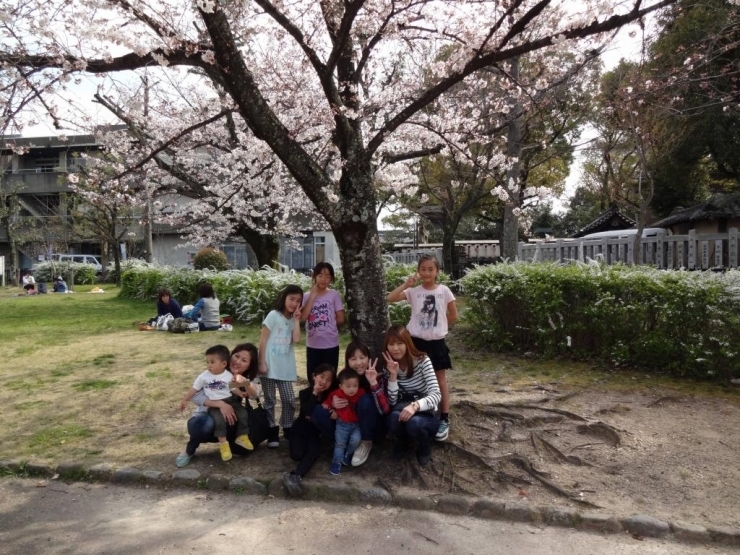 3姉妹と、そのお子さまたちで仲良くお花見をエンジョイ！ <br>永田明子さん（右から2人目)、細江真由美さん（右から3人目)、高木希代子さん(左から2人目)とご家族たち