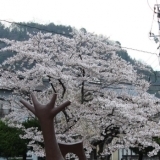 三成東児童公園