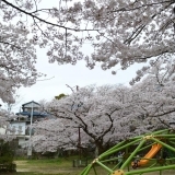 三原本町中央公園