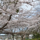 三原東町公園