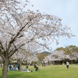 三原宮浦公園