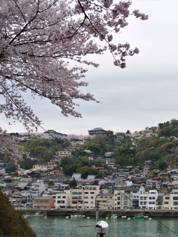 対岸に尾道市街地が一望できます