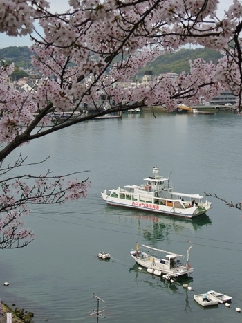 桜越しの渡船