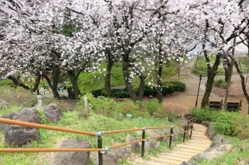 箱根山の頂上へ至る階段